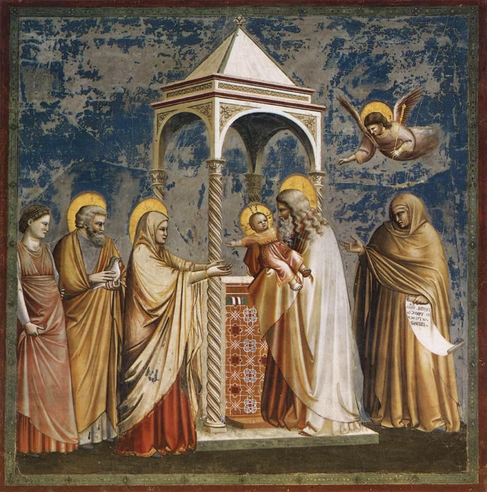 Presentazione di Gesù al Tempio | Giotto